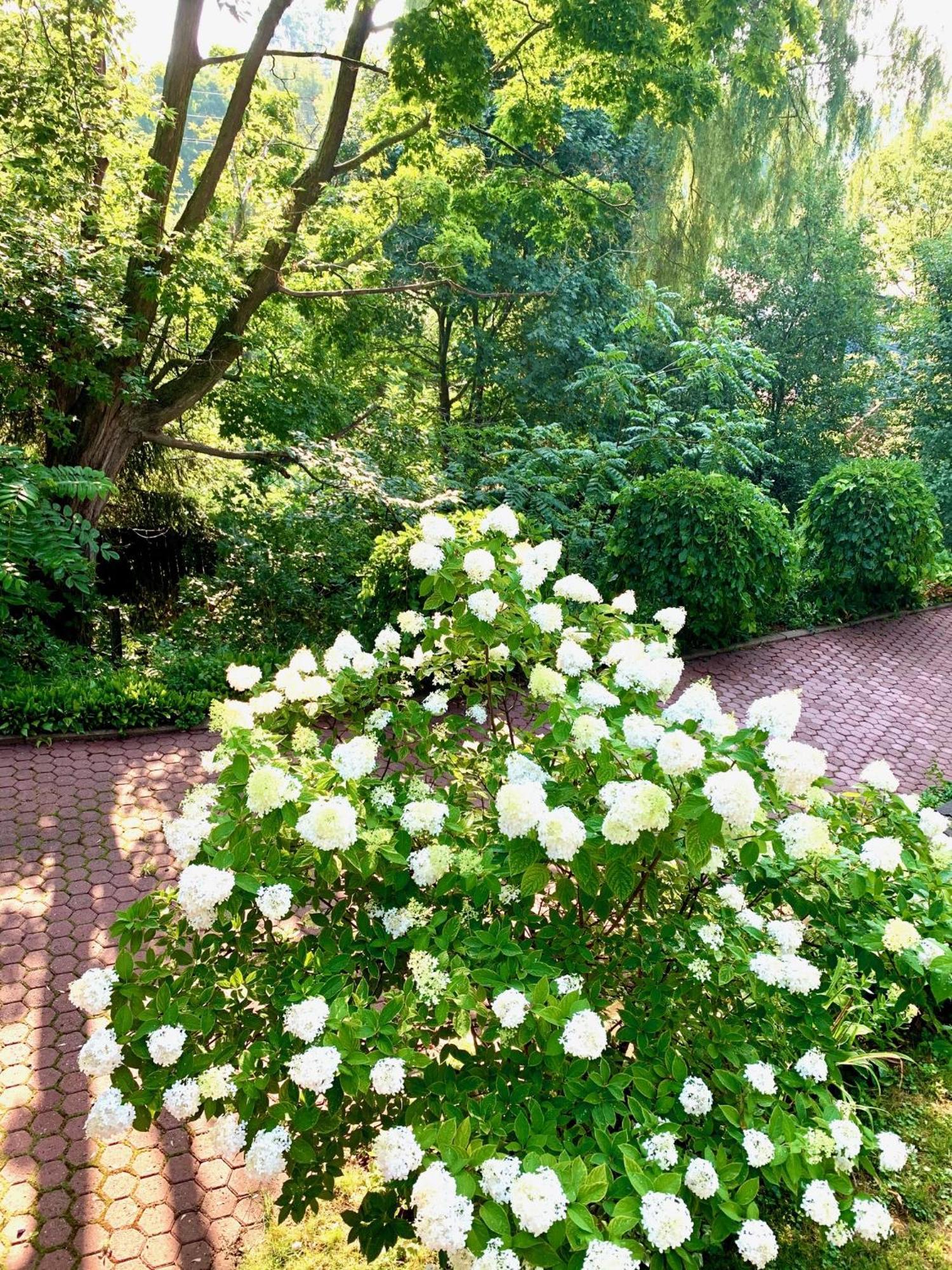 Plantation House Bed & Breakfast Port Hope Exteriér fotografie