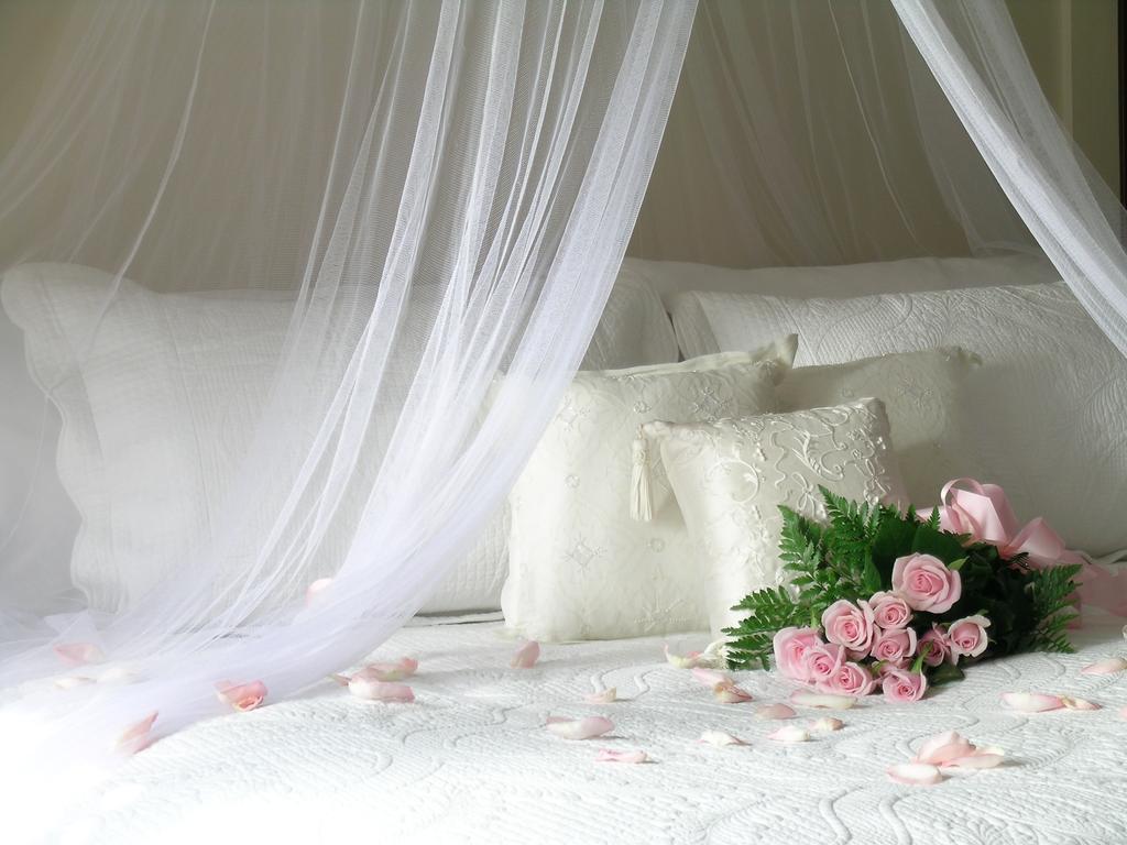 Plantation House Bed & Breakfast Port Hope Pokoj fotografie