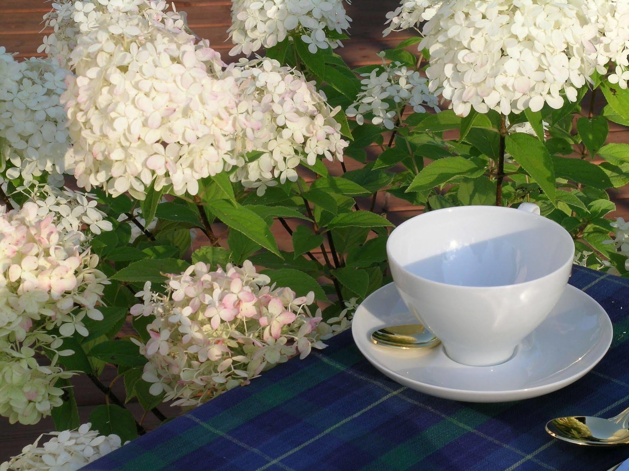 Plantation House Bed & Breakfast Port Hope Exteriér fotografie