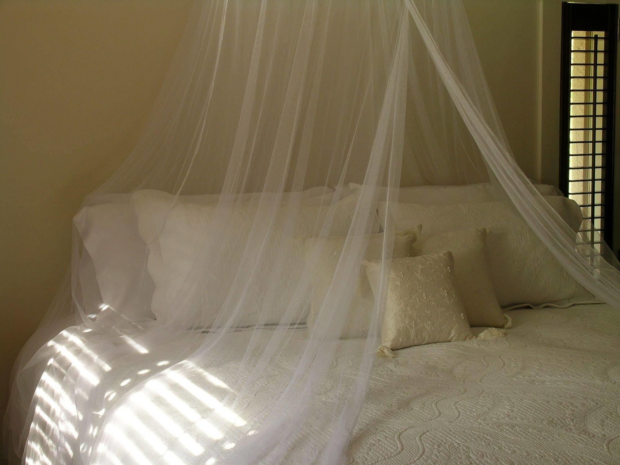 Plantation House Bed & Breakfast Port Hope Exteriér fotografie